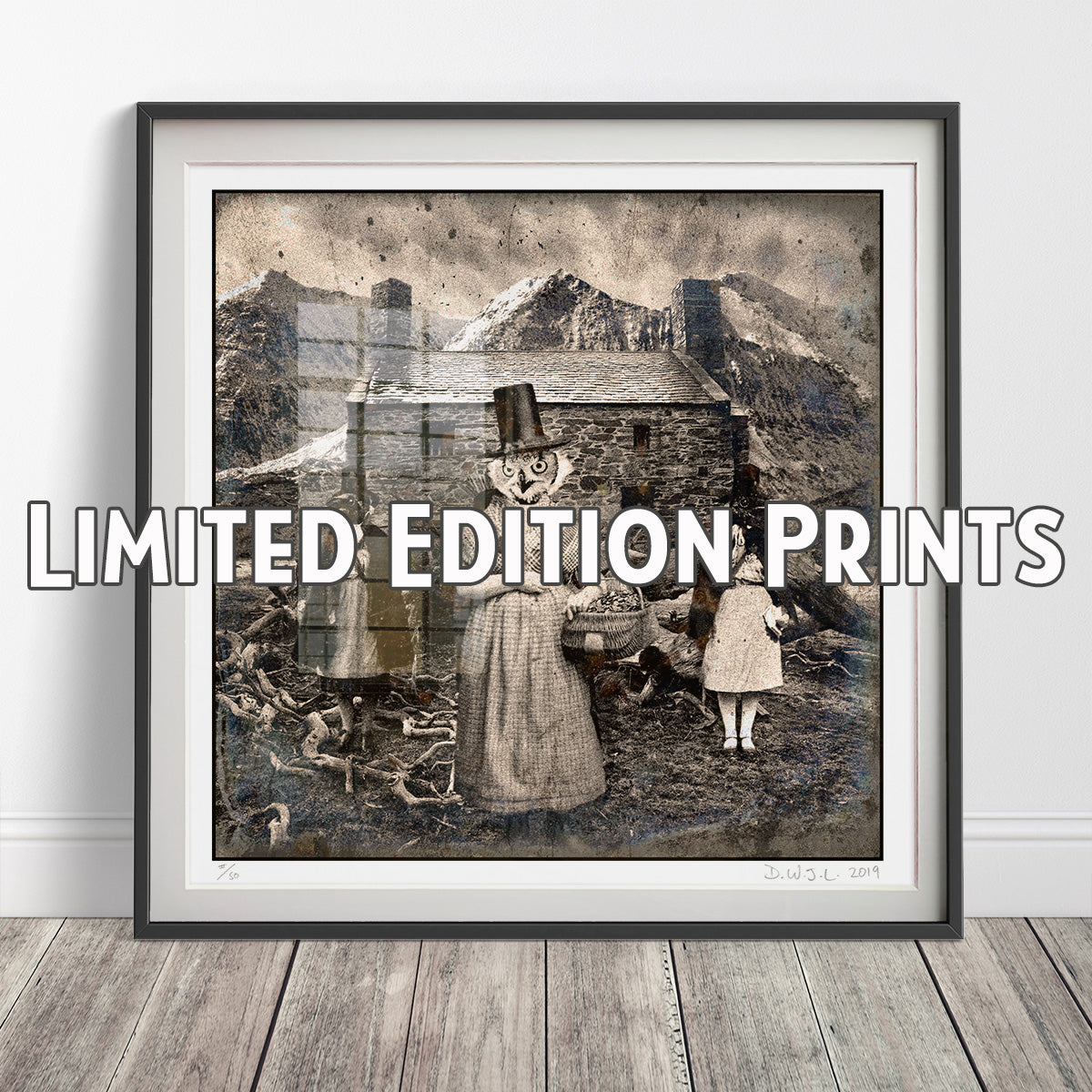 Limited Edition Prints