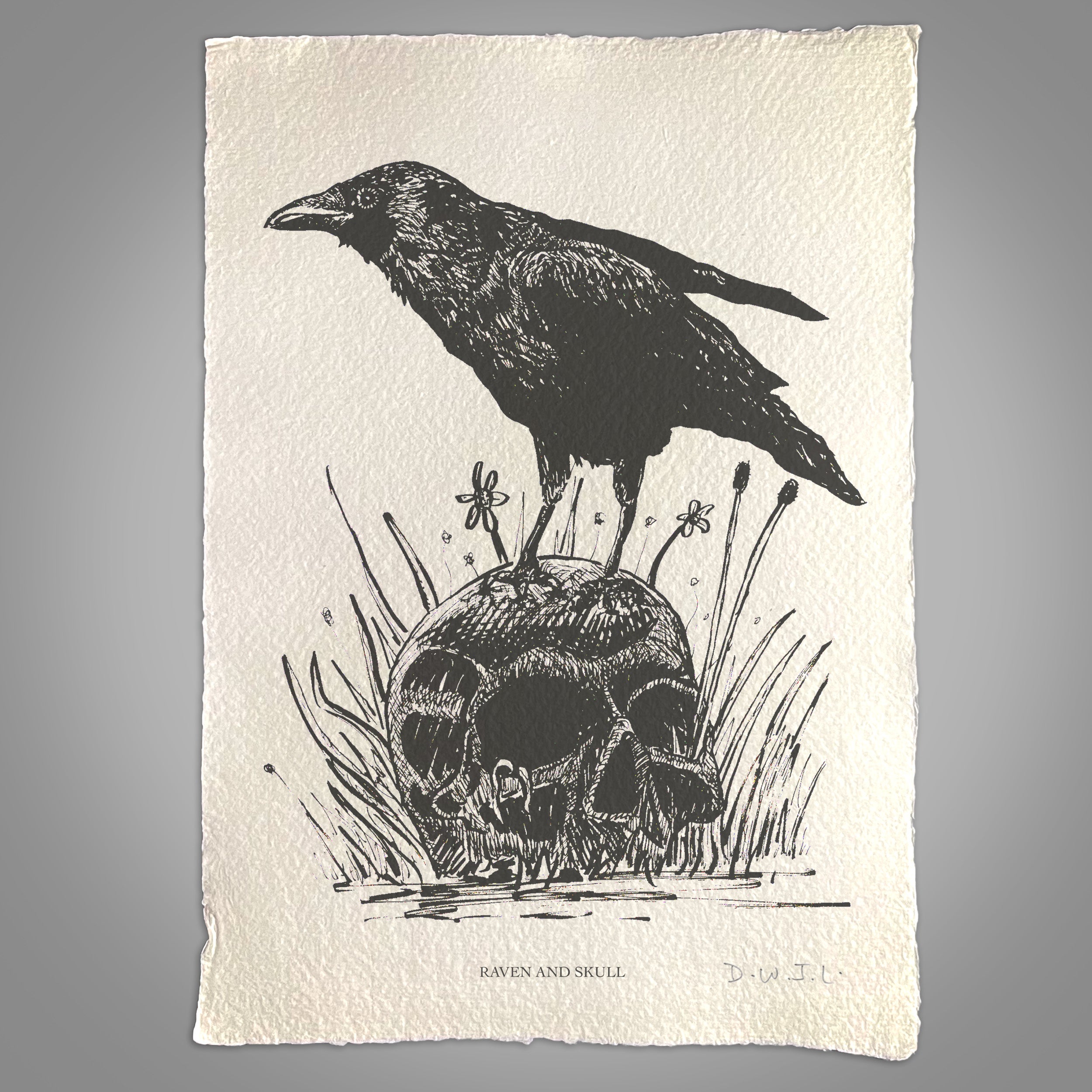 Raven And Skull - Handmade Khadi Paper Signed Print – David W J