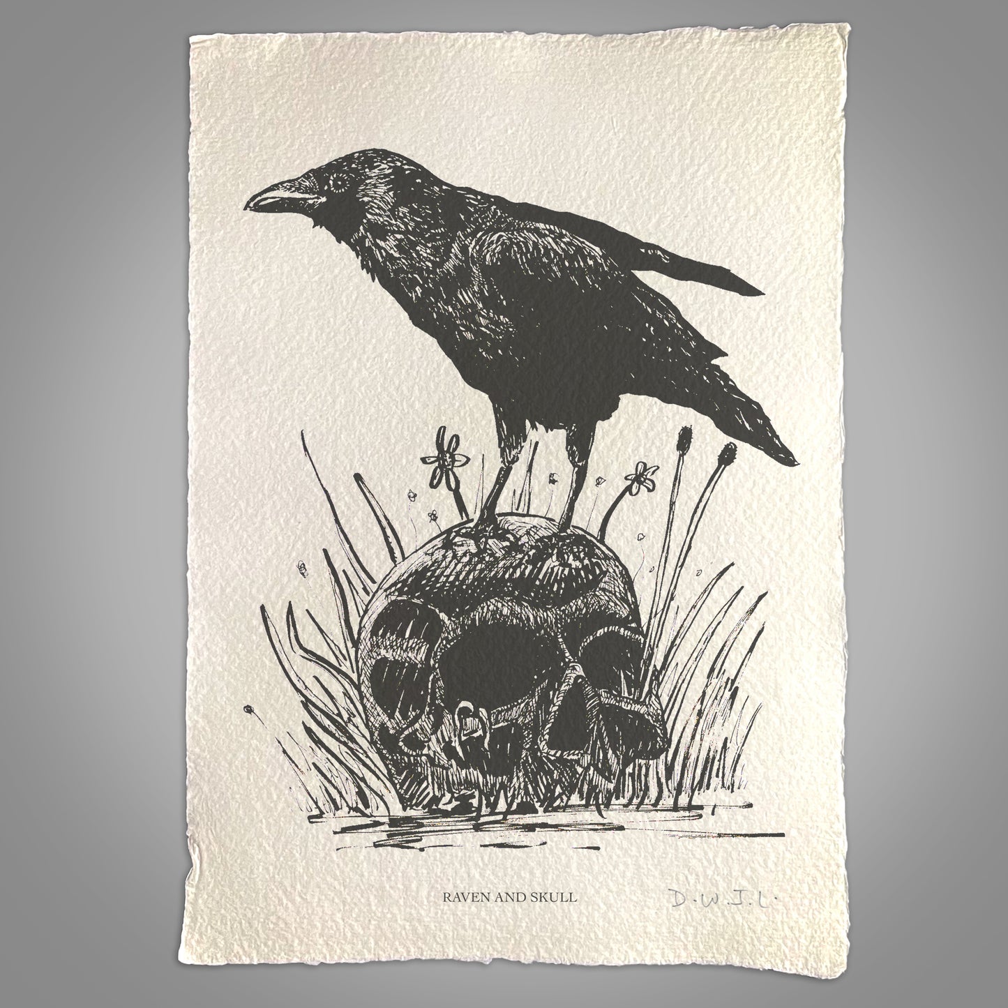 Raven And Skull - Handmade Khadi Paper Signed Print